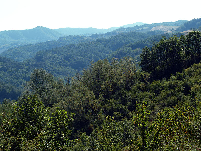 Oasi naturalistica del Carmine